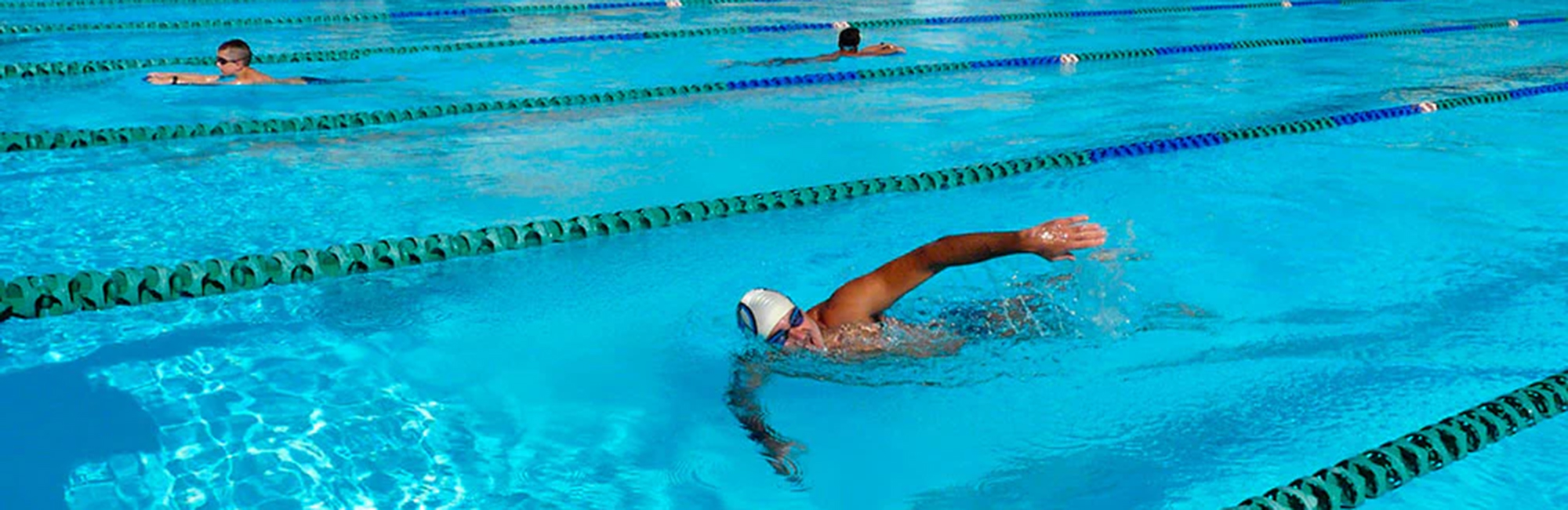 Lap Swim