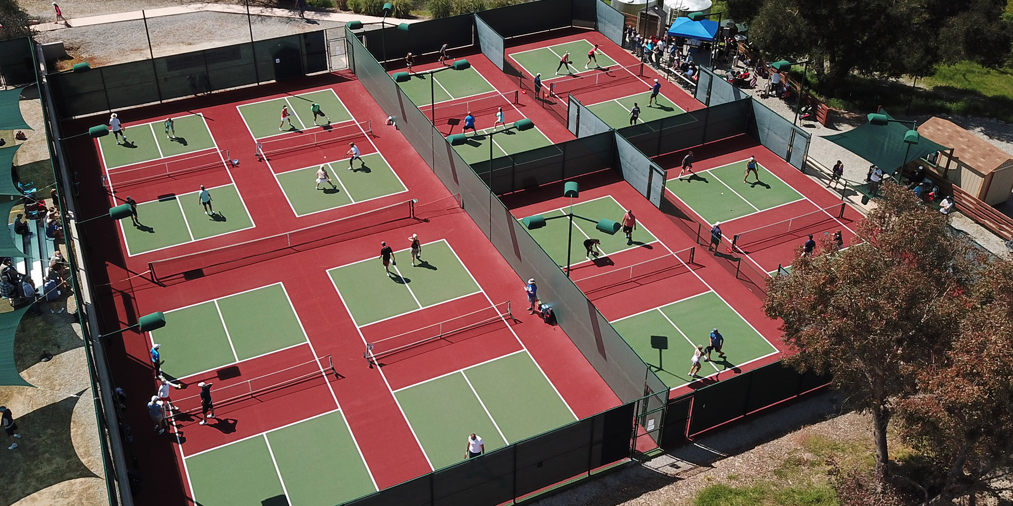 Eight lighted pickleball courts